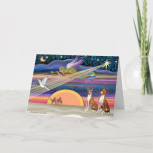 Christmas Star - Basenjis (two) Holiday Card