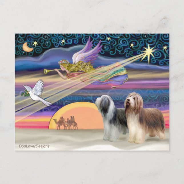 Christmas Star - Bearded Collies (two) Holiday Postcard (Front)