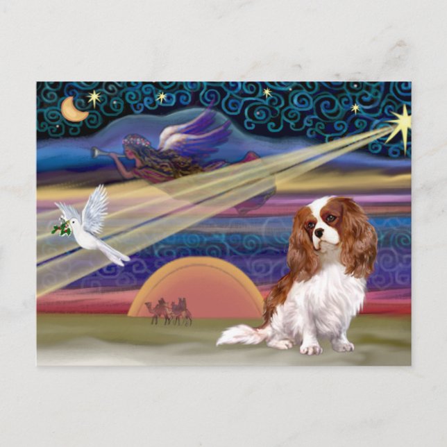 Christmas Star - Cavalier (Blenheim) Holiday Postcard (Front)