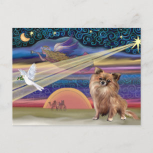 Christmas Star - Chihuahua ( ) Holiday Postcard