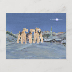 Christmas Star Holiday Postcard