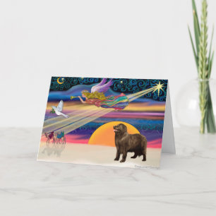 Christmas Star- Newfoundland (brown) Holiday Card