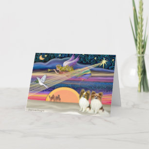 Christmas Star - Papillon (two fawn) Holiday Card