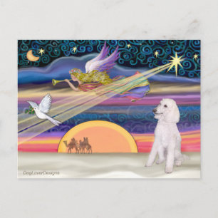 Christmas Star - Poodle (white Standard) - Holiday Postcard