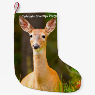 Christmas Stocking