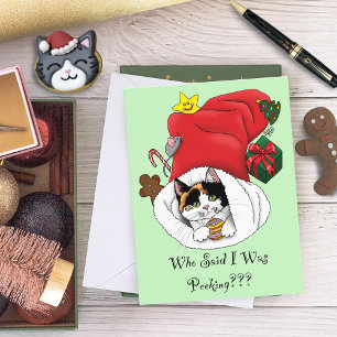 Christmas Stocking Kitten Holiday Postcard