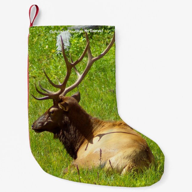 Christmas Stocking My Old Deerest (Front)