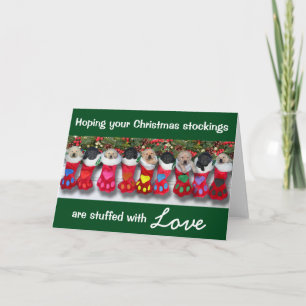 Christmas Stockings Gratitude Litter Holiday Card