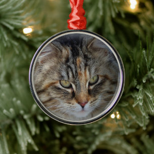 Christmas Tabby Cat Portrait Ornament