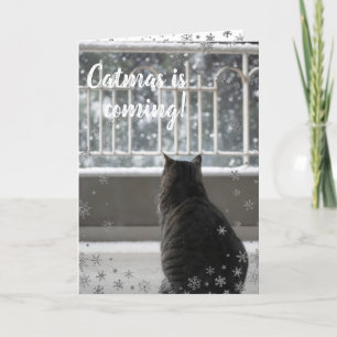Christmas Tabby Cute Cat in the Snow Holiday Card