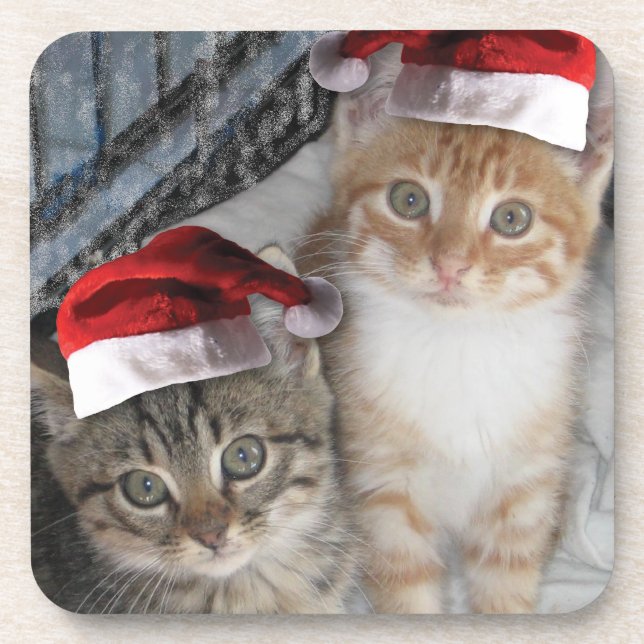 Christmas Tabby Kittens Coaster (Front)