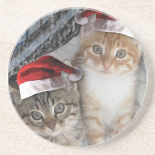 Christmas Tabby Kittens Coaster
