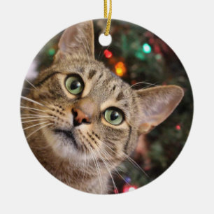 Christmas Tabby ornament