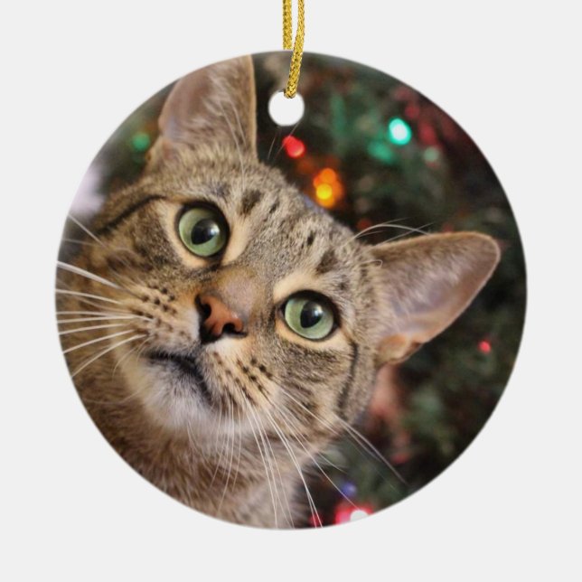 Christmas Tabby ornament (Front)