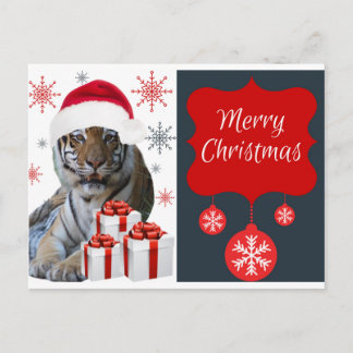 Christmas Tiger Holiday Postcard