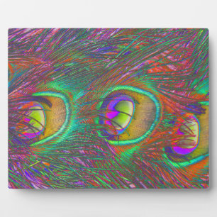 Christmas Tinsel Peacock Feathers Plaque