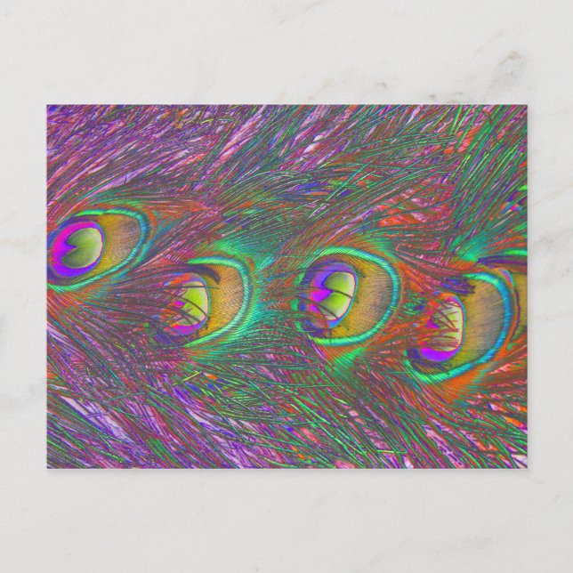 Christmas Tinsel Peacock Feathers Postcard (Front)