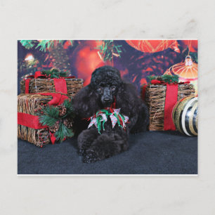 Christmas - Toby - Poodle Holiday Postcard