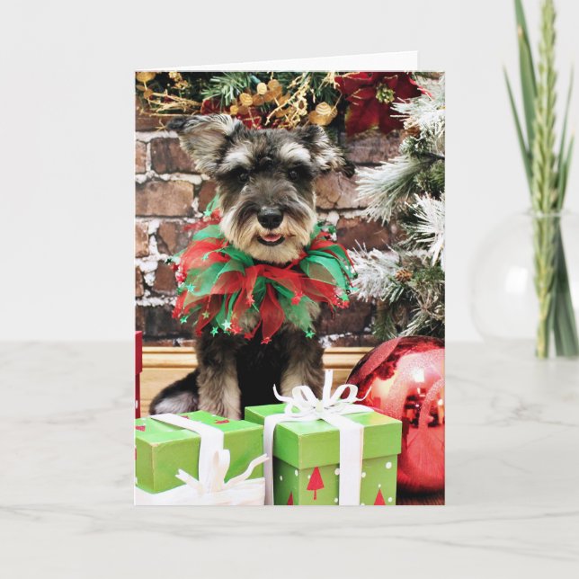 Christmas - Tom Dooley - Schnauzer #2 Holiday Card (Front)