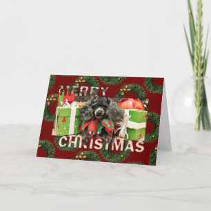 Christmas - Toy Poodle - Annie Holiday Card