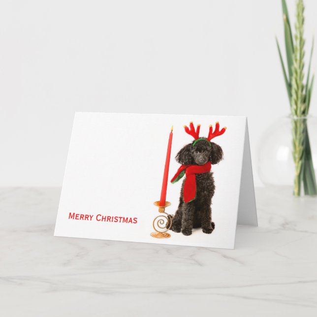 Christmas Toy Poodle Dog Holiday Card (Front)