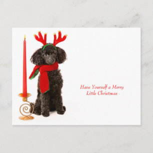 Christmas Toy Poodle Dog Holiday Postcard