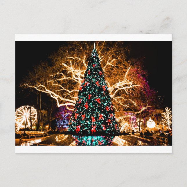 christmas tree and light celebration postcard (Front)