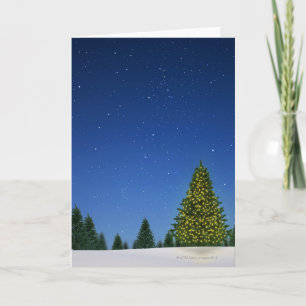 Christmas Tree at Night Holiday Card