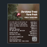 Christmas Tree Bauble, Christmas Tree Sales Flyer<br><div class="desc">Christmas Tree Bauble,  Christmas Tree Sales Advertising Flyer by The Business Card Store.</div>