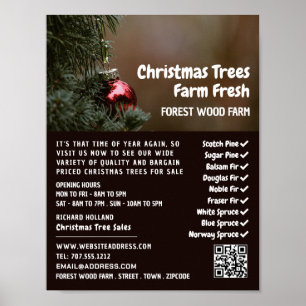 Christmas Tree Bauble, Christmas Tree Sales Poster