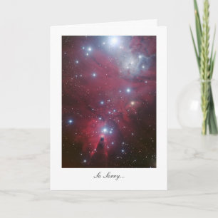 Christmas Tree Cluster - So Sorry Holiday Card
