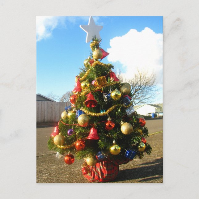 Christmas Tree Holiday Postcard (Front)