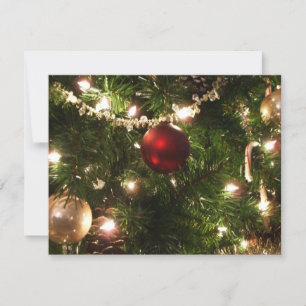 Christmas Tree I Holiday Pretty Green and Red Card