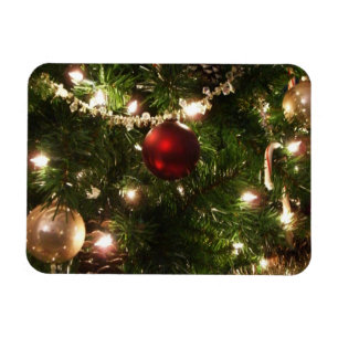 Christmas Tree I Holiday Pretty Green and Red Magnet