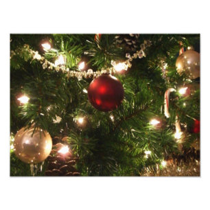 Christmas Tree I Holiday Pretty Green and Red Photo Print