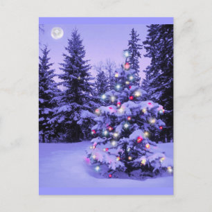 Christmas Tree in the Forest Holiday Postcard