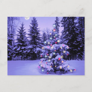 Christmas Tree in the Forest Holiday Postcard