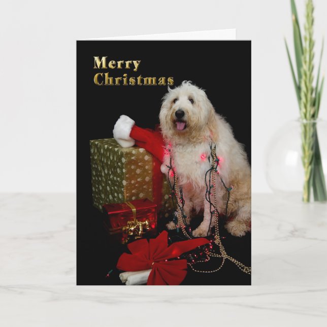 Christmas - Tree Lights on Doggie Holiday Card (Front)