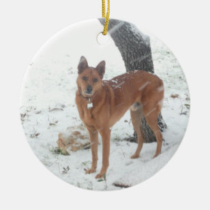 Christmas Tree Ornament Pet or Family Photos