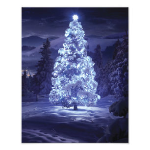 Christmas Tree  Photo Print