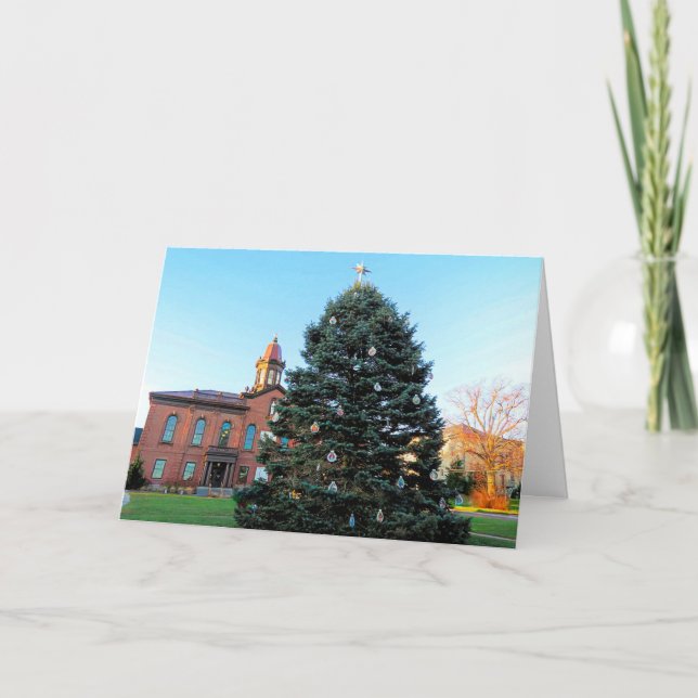 Christmas tree Plymouth MA 2023  Thank You Card (Front)