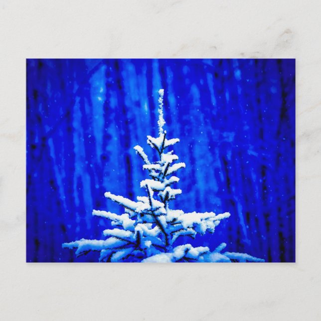 Christmas Tree, Snow, Magic Night Postcard (Front)