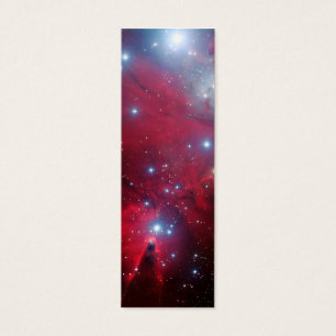 Christmas Tree Star Cluster
