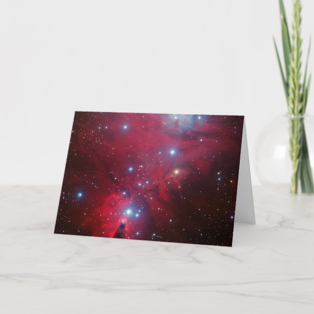 Christmas Tree Star Cluster Holiday Card (Front)
