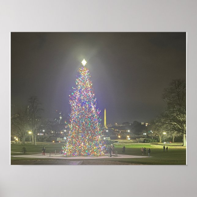 Christmas Tree US Capitol Washington DC Poster (Front)