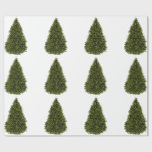 Christmas Tree Wrapping Paper