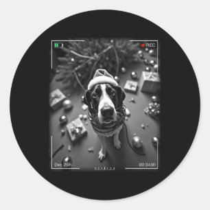 Christmas Treeing Walker Coonhound Caught On Camer Classic Round Sticker