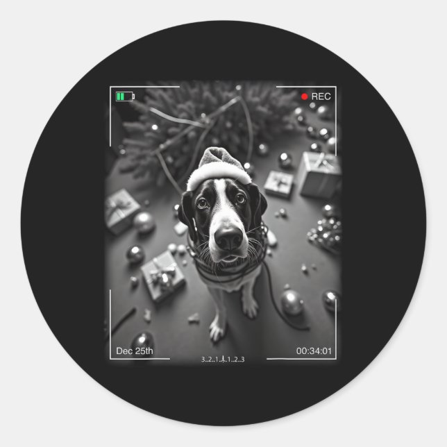 Christmas Treeing Walker Coonhound Caught On Camer Classic Round Sticker (Front)