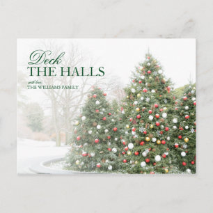 Christmas trees in the Botanical Garden, New York Holiday Postcard