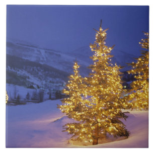 Christmas trees, Park City, Wastch Mountains, Tile
